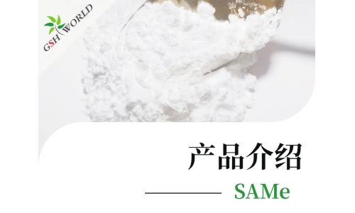 產品介紹 - SAMe——堪稱全能的肝臟營養劑